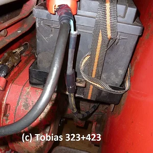 Tobias