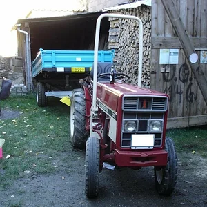 Matthias-IH353