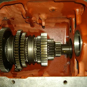 Schorsch