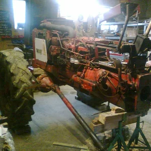 955