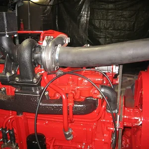 Ulli1246