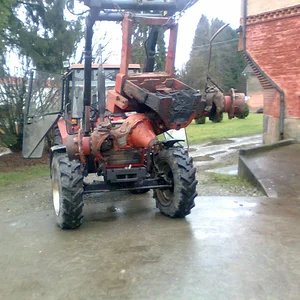 IHC 955
