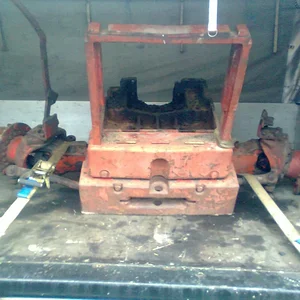 IHC 955