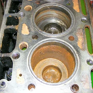Harfensnger