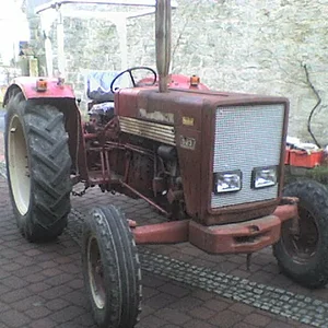 Basti523