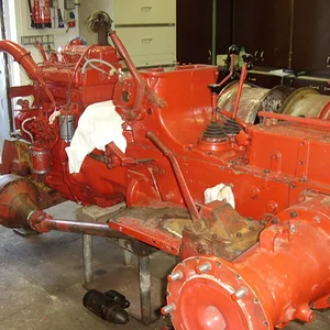 *IHC523*
