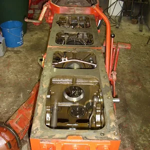 *IHC523*
