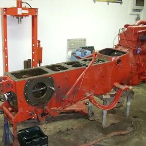 *IHC523*
