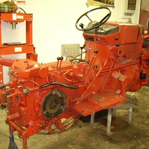 *IHC523*