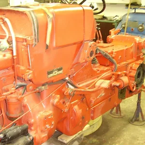 *IHC523*
