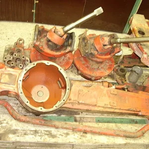 *IHC523*