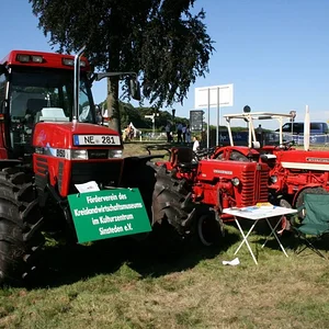 McCormick 353