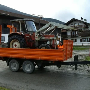 Schorsch