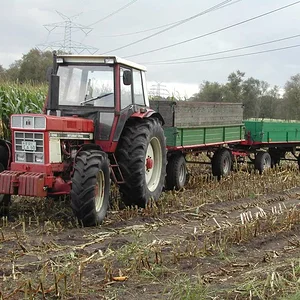 Thomas