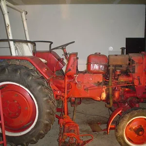 D-219