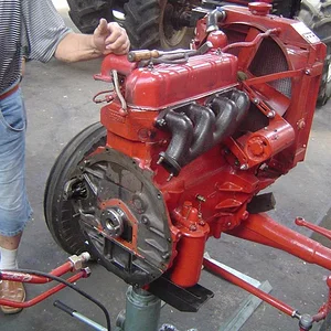 BastianD432