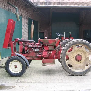 IHC 946
