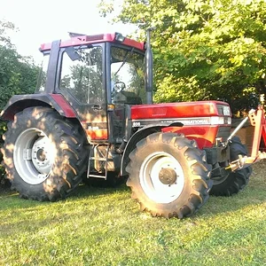 Abendsonne :)