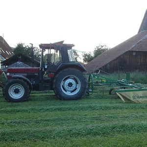 erster Schnitt