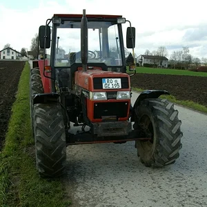 Schorsch