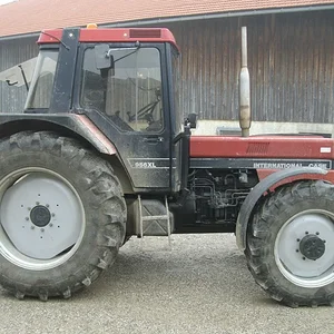 Schorsch