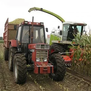 856xl Beim maishackseln