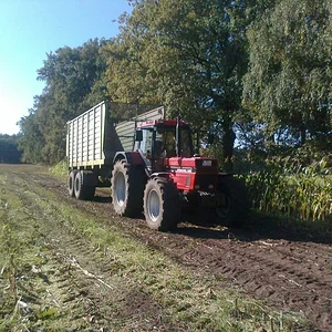 IH 1255 XL