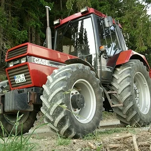Unser Roter
