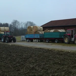 30 Stück geladen