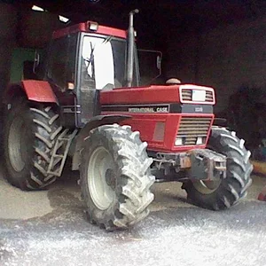Unser Case IH 1255