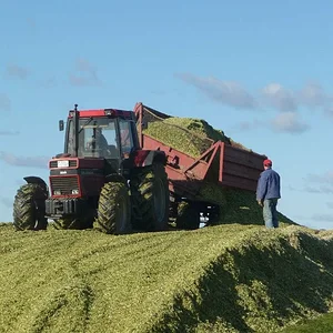 1255XL Fahrer