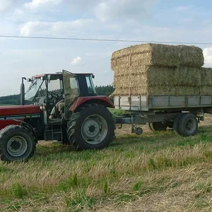 Ballen fahren.