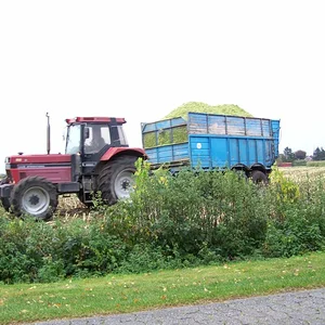 Case International 1255 XL