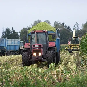Case International 1255 XL