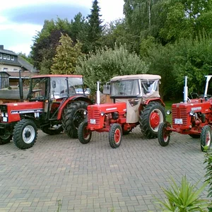 Eelekutscher