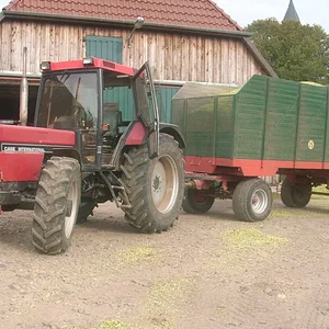 956 XLA
