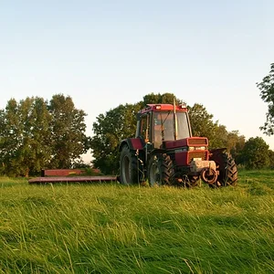 956 XLA
