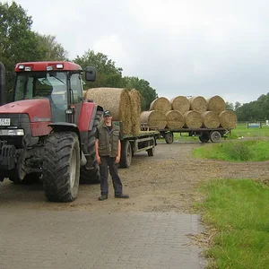 mx 150