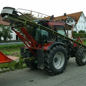 Schorsch