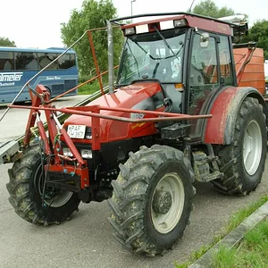 Schorsch