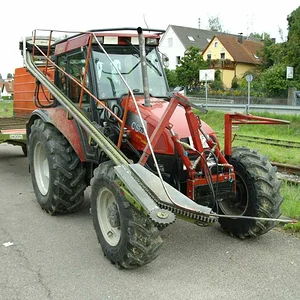 Schorsch