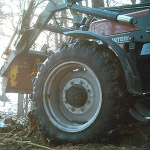 940 im Wald