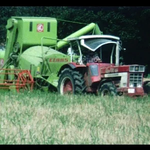 IHC 946 bei der Gerstenernte