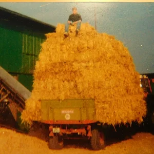 IHC 844 XL bj.185