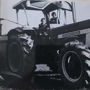 946 bei der Maisernte 1976