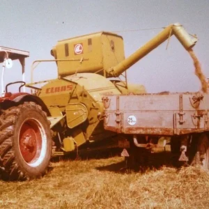 946 bei der Ernte 1978