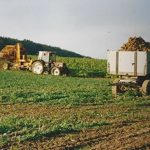 856XL