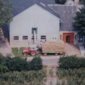AG323