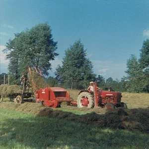 D-436