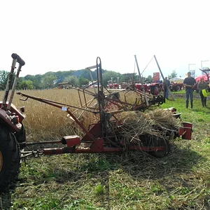 Nordhorn 11